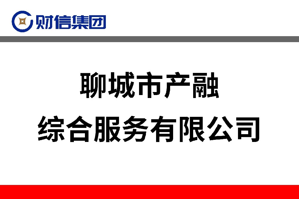 聊城市產融綜合服務有限公司